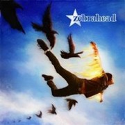 Zebrahead: Phoenix