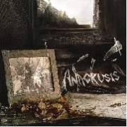 Anacrusis: Hindsight