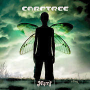 Review: Carptree - Nymf