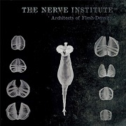The Nerve Institute: Architects Of Flesh Density
