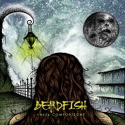 Beardfish: +4626-Comfortzone