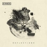 X-Panda: Reflections