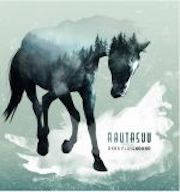 Review: Okra Playground - Rautasuu (Steed Of Sorrow)