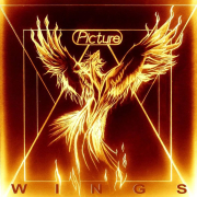 Picture: Wings