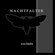 Nachtfalter: Was bleibt