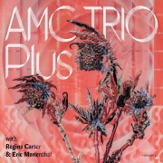 AMC Trio: Plus