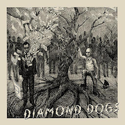 Diamond Dogs: Diamond Dogs