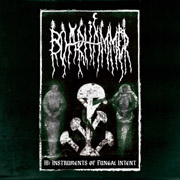 Boarhammer: III : Instruments Of Fungal Intent
